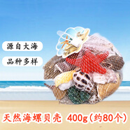 燕之雁 魚(yú)缸造景天然海螺貝殼+仿真海星 海底裝飾擺件 約80個(gè)帶網(wǎng)袋400g