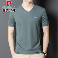 皮爾卡丹高端桑蠶絲短袖t恤男夏季新款抗皺純色衣服寬松V領冰.絲半袖體恤 8812淺綠 XL 175建議140-160斤