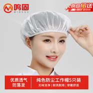 鳴固 網(wǎng)帽頭套防塵帽車間工作帽食品帽防塵帽非一次性發(fā)套5只 白色 CW091131