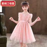 雷姆汀兒童裙子夏天女童連衣裙女孩洋氣蕾絲裙粉色公主裙星星網(wǎng)紗裙禮服 粉色蕾絲裙 130 身高建議110--118厘米