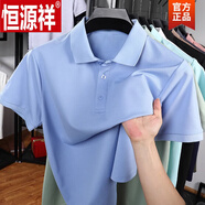 恒源祥（HYX）男士透氣休閑短袖Polo.衫2025夏季薄款商務(wù)純色簡(jiǎn)約翻領(lǐng)T恤衫 冰藍 M 170 (適合90-110斤)