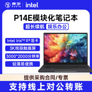 英特爾NUC P14E 雷電 有線無線 WI-FI6E 更換Element計算模塊 3K高清觸摸屏 輕薄商務14“筆記本電腦 BKCMCN1CCDU1【NUC P14E機殼】 酷睿i7-1265U/1