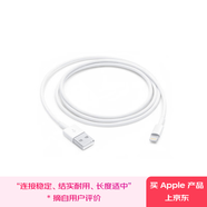 Apple/蘋果 閃電轉(zhuǎn)USB充電線-1米 蘋果充電線手機充電線原裝充電線數(shù)據(jù)線適 用于閃電接口iPhone/iPad