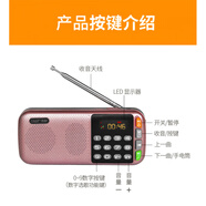 先科（SAST）/先科 511 顯示屏便攜插卡音箱收音機(jī)老人mp3外放播放器 先科N28支持雙電金色