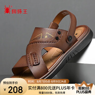 蜘蛛王男士涼鞋輕質(zhì)駕車沙灘鞋鏤空透氣一腳蹬兩用拖鞋 棕色 44 