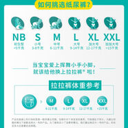 幫寶適（Pampers）幫寶適包裝破損清新幫黑金幫綠幫紙尿褲拉拉褲SMLXLXXLXXXL 炫金幫拉拉褲L42片