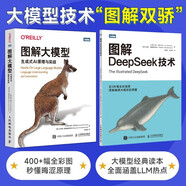 圖解大模型+圖解DeepSeek技術(shù) 京東套裝2冊(cè) 圖靈出品