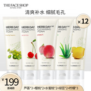 菲詩小鋪（THE FACE SHOP）洗面奶女溫和清潔干皮草本泡沫豐富潔面膏男 12支裝