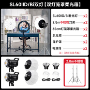 神牛（Godox）SL60IID二代SL60IIBi雙色溫直播補光燈LED攝影燈視頻常亮美顏拍照攝影棚賣(mài)貨打光柔光發(fā)絲燈 【13】SL60WII兩燈套裝-柔光球*2 SL60IIBi-雙色溫版