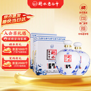 衡水老白干青花大壇 老白干香型白酒 67度1.6L*2壇 整箱裝 白酒整箱口糧送禮
