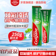 高露潔健齒防蛀牙膏勁爽清新薄荷強健牙釉質(zhì)雙氟配方家庭裝 健齒防蛀250g【勁爽薄荷】