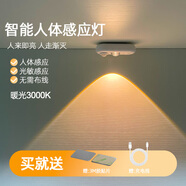 芃彩人工智能感應(yīng)燈頭開關(guān)控制燈led氛圍燈創(chuàng)意家用聲控感應(yīng)usb小夜燈 白色外殼人體感應(yīng)燈【暖光】