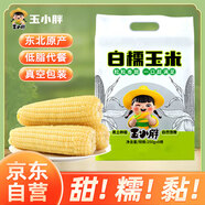 玉小胖東北白甜糯玉米棒8根*250g＞4斤 真空包裝粘黏玉米 低脂早餐代餐