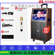 索愛(ài)AV301廣場(chǎng)舞音響帶顯示屏幕移動(dòng)卡拉OK一體機戶(hù)外視頻機音箱 15吋手機同屏+12吋低音+金屬單麥 三分頻視頻音箱