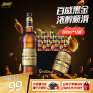 百威黑金啤酒600ml*12瓶整箱裝烈性拉格焦香醇厚 