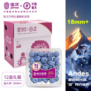 佳沃 JOYVIO 秘魯藍(lán)莓超大果18mm+12盒原箱裝125g/盒 新鮮水果禮盒