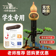 天鵝（SWAN）H20葫蘆絲紫竹 C調兒童小學生初學練習三音可拼插演奏級葫蘆絲