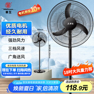 華生（Wahson）電風(fēng)扇家用落地扇交流定頻電扇立式工業(yè)扇18吋牛角扇低噪大風(fēng)量宿舍辦公車(chē)間商用強力風(fēng)扇FS-D1806