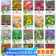 花沃里20款花種子套餐 花卉種子組合太陽(yáng)花鳳仙花向日葵四季種野花