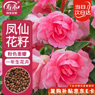 壽禾 鳳仙花種子種苗指甲花花卉種籽 濰豐重瓣粉色鳳仙花種子140粒