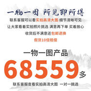 OIDSG老鳳凰999文玩核桃一物一圖精品大粗筋蛤蟆頭南瓜墩四座樓南疆石 聯(lián)系客服 看實(shí)拍6面圖下單1699