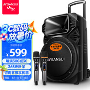 山水（SANSUI） A12-66廣場(chǎng)舞音響戶(hù)外K歌重低音藍牙音響便攜式移動(dòng)舞臺拉桿音箱大功率擴音器 旗艦plus版（12寸重低音+雙麥）