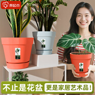 原起點(diǎn) 北歐風(fēng)塑料花盆 樹(shù)脂透氣加侖花盆帶托盤(pán) 陽(yáng)臺辦公家用盆栽加厚 蜻蜓紅花盆【3個(gè)型號組合裝】