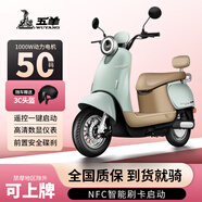五羊【重磅新品】新款小龜王電動(dòng)車(chē)電動(dòng)摩托車(chē)NFC智能電摩時(shí)尚男女騎行踏板電瓶車(chē) 【薄荷綠】NFC解鎖/前碟后鼓 1.0需自配電池充電器無(wú)贈品