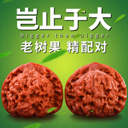 山中玉文玩核桃獅子頭四座樓白官帽手玩把玩古玩麻核桃生日禮物男手把件 進(jìn)階級46-47mm官帽+升級工具