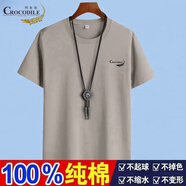 鱷魚(yú)恤新款夏季時(shí)尚打底短袖t恤男款純棉寬松半袖圓領(lǐng)時(shí)尚百搭純色上衣 DX卡其色 XL 【建議120-135斤】