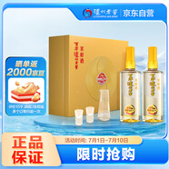 瀘州老窖 窖齡60年 濃香型白酒 52度500ml*2 雙瓶禮盒裝 送禮(包裝隨機(jī)發(fā))