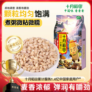 十月稻田 小麥仁 2斤（麥仁 東北 五谷 雜糧 粗糧 真空裝 大米 粥米伴侶）