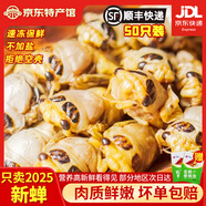 匯爾康2025新鮮知了猴金蟬爬叉100只生鮮知了龜唐僧肉速凍 【甄選大號】白蟬50只
