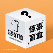 賽琪（SAIQI）線下【門店同款】短袖T恤男女款清倉福利少量庫存潮流簡約百短袖 男款隨機(jī) XL