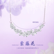 締晶S999足銀紫藤花項(xiàng)鏈女高級感鎖骨鏈吊墜輕奢生日禮物女生送女友