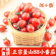 京鮮生＆隴小番 釜山88脆甜玲瓏小番茄 凈重4斤(500g*4盒)源頭直發(fā)