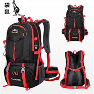 袋鼠（KANGAROO）登山包雙肩男女旅行包40L 50L60L大容量運(yùn)動(dòng)徒步戶外雙肩背包 黑色 60L