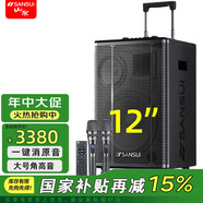 山水（SANSUI） E12演唱音響戶外k歌拉桿音響演出大音量藍(lán)牙移動音響大功率唱歌室外音箱表演舞臺 E12豪華版（12吋重低音+雙話筒）