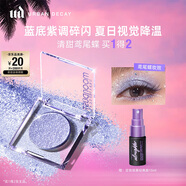 Urban Decay衰敗城市鳶尾蝶ud單色眼影牛郎眼影高光化妝品生日禮物送女友