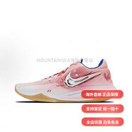 耐克（NIKE）定制球鞋 Precision 6烽火粉白色舒適減震防滑耐磨低幫籃球鞋 烽火 原鞋貨號(hào)HV1796-141 40