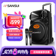 山水（SANSUI） A12-66廣場舞音響戶外K歌重低音藍(lán)牙音響便攜式移動舞臺拉桿音箱大功率擴(kuò)音器 旗艦plus版（12寸重低音+雙麥）