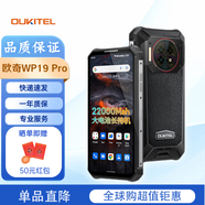 歐奇WP19Pro/WP18Pro三防手機(jī) 歐奇wp19手機(jī) 谷歌原生系統(tǒng) 國際版 WP19Pro 黑色 256G