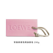 羅意威（LOEWE）【官方正品】【法國直郵15天】常春藤香薰香氛系列產(chǎn)品 留香手工 【新品】常春藤香氛精油香皂290g