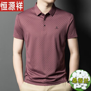 恒源祥高檔桑蠶絲短袖t恤男士夏季爸爸裝翻領真絲polo衫條紋體恤上衣 紅色(T9812款） XL 175/ (建議135-155斤）