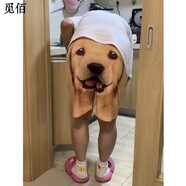 覓佰金毛短褲搞笑男女士沙灘褲運動(dòng)褲休閑褲歐美時(shí)尚情侶印花狗頭短褲 金毛#短褲 S 【60-80斤】