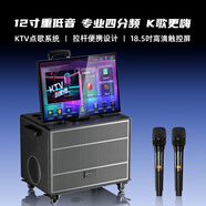 金正廣場(chǎng)舞音響 |戶外K歌專用 | 家庭ktv音響套裝 |卡拉ok一體機(jī)家用唱歌設(shè)備移動(dòng)智能藍(lán)牙音箱N866