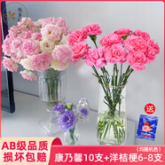 悅多彩優(yōu)質(zhì)水養(yǎng)鮮切花 母親節(jié)三八節(jié)花束 昆明基地現(xiàn)采直發(fā)順豐生活鮮花 洋桔梗6-8支+康乃馨10支