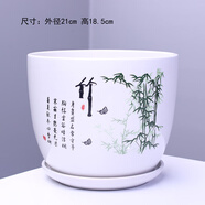 特大號花盆陶瓷大號帶托盤創(chuàng)意個性家用吊蘭綠蘿多肉花盆 陶瓷 x 西瓜紅303綠竹一個特大