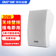 先科（SAST）D48 有源無(wú)線公共廣播音響背景音樂(lè)套裝廣播系統(tǒng)掛壁音箱商用教學(xué)教室 1支D48壁掛音箱