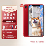 【白條免息】蘋(píng)果xr Apple iPhone XR 雙卡雙待 二手手機(jī) 全面屏 二手蘋(píng)果XR 蘋(píng)果xr 中國(guó)紅 256G【更換100%電池+閃充20W】95靚機(jī)